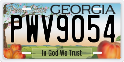 GA license plate PWV9054
