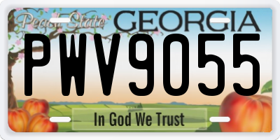 GA license plate PWV9055