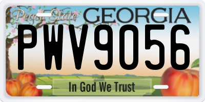 GA license plate PWV9056