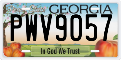 GA license plate PWV9057