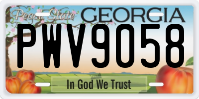 GA license plate PWV9058