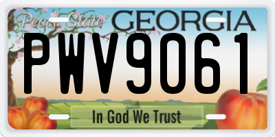 GA license plate PWV9061