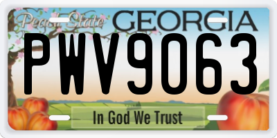 GA license plate PWV9063