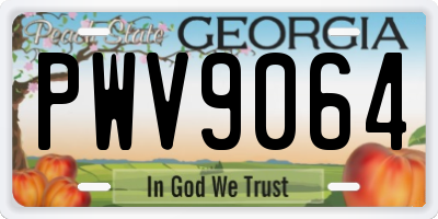 GA license plate PWV9064