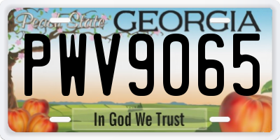 GA license plate PWV9065