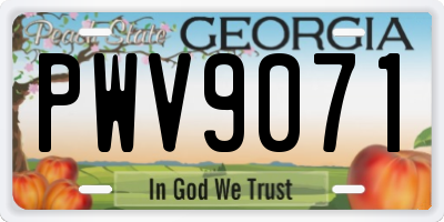 GA license plate PWV9071