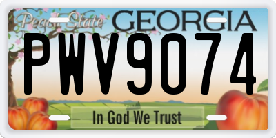 GA license plate PWV9074