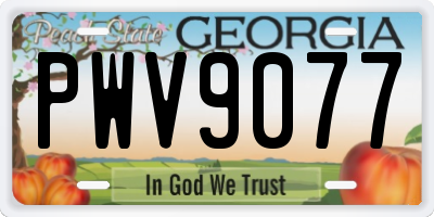 GA license plate PWV9077