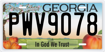 GA license plate PWV9078