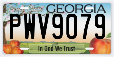 GA license plate PWV9079