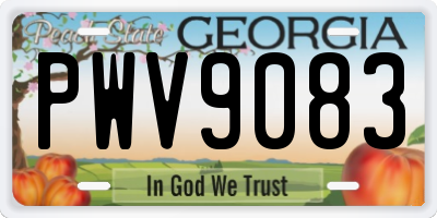 GA license plate PWV9083