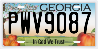 GA license plate PWV9087