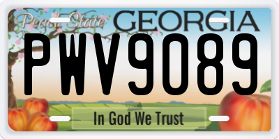 GA license plate PWV9089