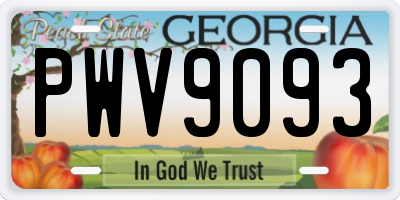 GA license plate PWV9093