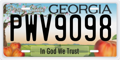 GA license plate PWV9098