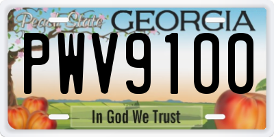 GA license plate PWV9100