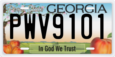 GA license plate PWV9101
