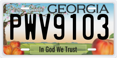 GA license plate PWV9103