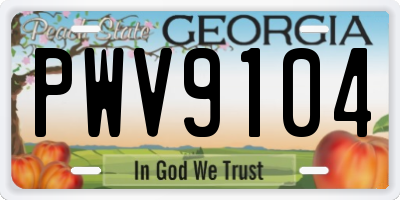 GA license plate PWV9104
