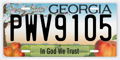 GA license plate PWV9105