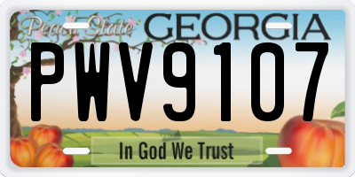 GA license plate PWV9107