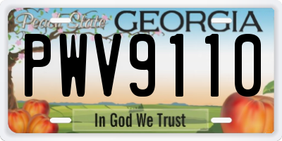 GA license plate PWV9110