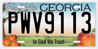 GA license plate PWV9113