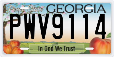 GA license plate PWV9114
