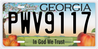 GA license plate PWV9117