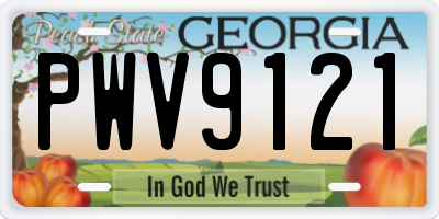 GA license plate PWV9121