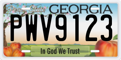 GA license plate PWV9123