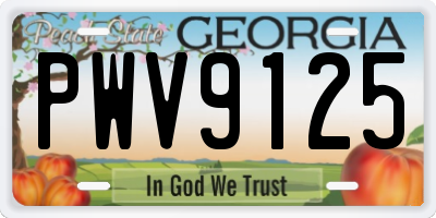 GA license plate PWV9125