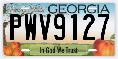 GA license plate PWV9127