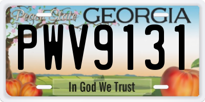 GA license plate PWV9131