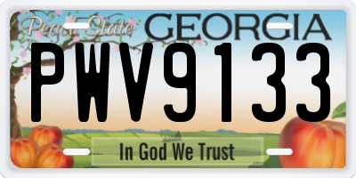 GA license plate PWV9133
