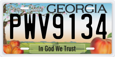 GA license plate PWV9134