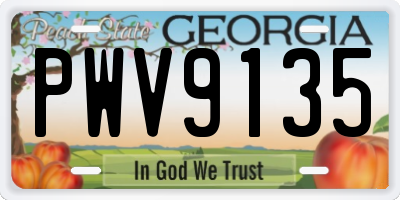 GA license plate PWV9135