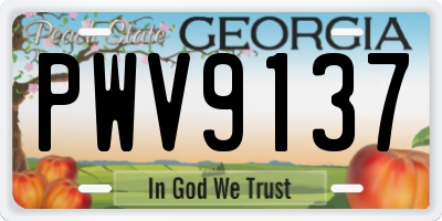 GA license plate PWV9137