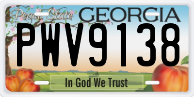 GA license plate PWV9138