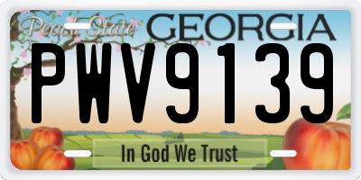 GA license plate PWV9139
