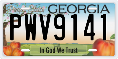 GA license plate PWV9141