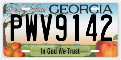 GA license plate PWV9142