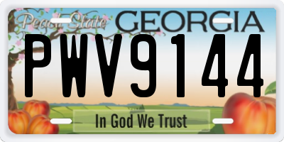 GA license plate PWV9144