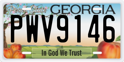 GA license plate PWV9146
