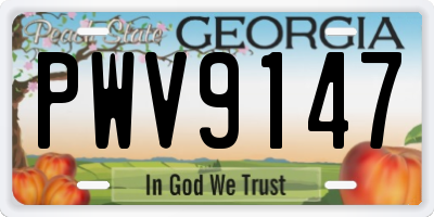 GA license plate PWV9147