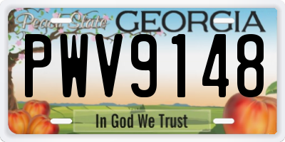 GA license plate PWV9148