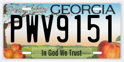 GA license plate PWV9151