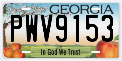 GA license plate PWV9153