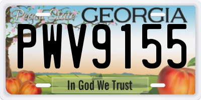 GA license plate PWV9155