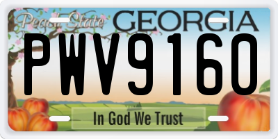 GA license plate PWV9160